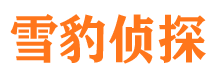 崇仁外遇出轨调查取证